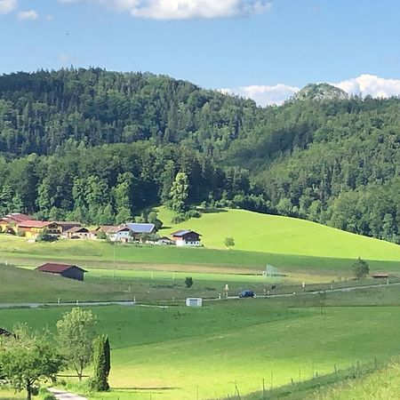 Ferienwohnung Doffenmuehle 马克特谢伦贝格 外观 照片